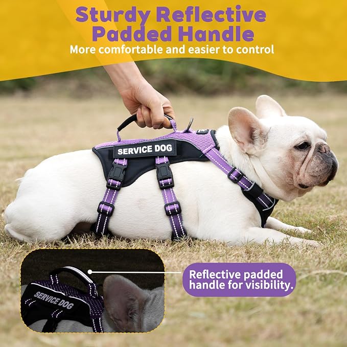 Service Dog Vest Harness, Escape Proof Harness with 6 Patches, No-Pull, Reflective Harness with Handle, Adjustable for Small to Large Dogs, for Training and Hiking (Lavender Purple, XS)