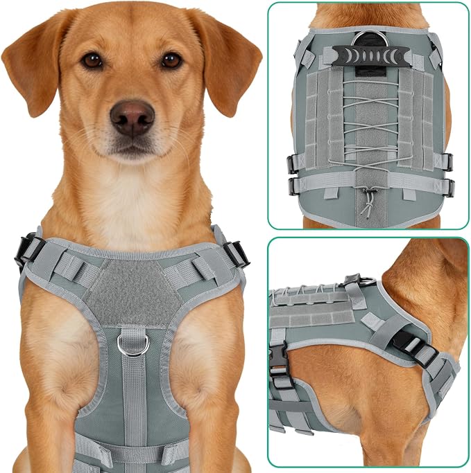YooxArmor No Pull Dog Harness and Leash Set, Tactical Adjustable for Medium Sized Dog, Easy Walk Soft Vest Padded Oxford for Training Hiking (Gray-M)