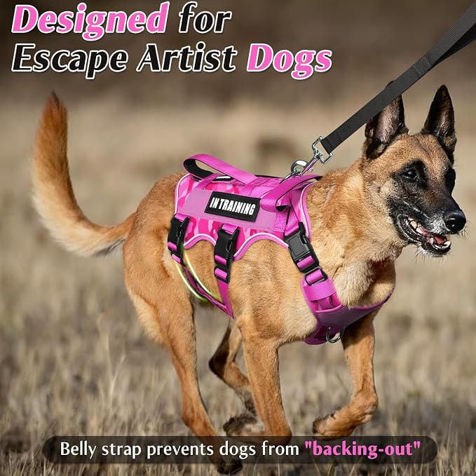 Escape Proof Dog Harness with Double Handle+4 Removable Patches | Service Working Molle Harness with Double Handle for Large Dogs, Tactical Pet Reflective Vest for Walking Hiking Hunting