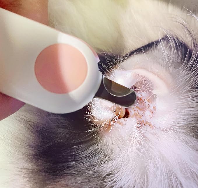 Small Animals Nail Clippers with LED Lights to Avoid Excessive Cutting and Razor Sharp Blades - Professional Claw Trimmer for Tiny Dog Cat Kitten Bunny Rabbit Bird Guinea Pigs Ferret Hamsters (Blue)