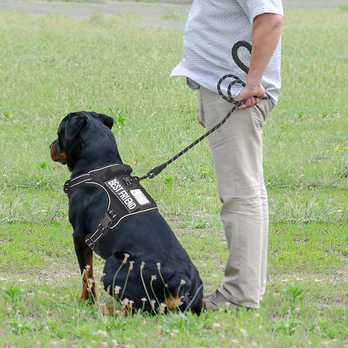 Beebiepet Heavy Duty Tactical Dog Harness for Small Dogs, No Pull Adjustable Pet Harness Reflective Service Training Easy Control Pet Vest Military K9 Working Dog Harnesses- Large, Black