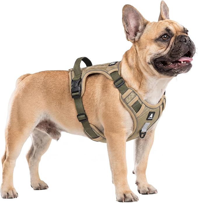 Twoear No Pull Dog Harness for Small Dog, Lightweight Tactical Dog Harness | Top Handle, Reflective, Breathable, Easy Buckles, Dual Clips, Easy to Put on & Take Off, Dog Vest for Walking Hiking Training
