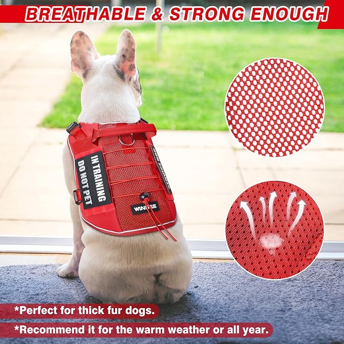 Service Dog in Training Mesh Harness with 10 Removale Pet Patches | Breathable material, adjustable straps, reflective trim, lightweight but durable, great for training, walks, and outings