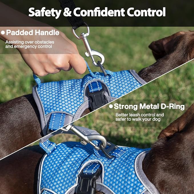Escape Proof Dog Harness, Dachshund Harness, Reflective Dog Harness with Handle, Durable,Adjustable Vest for Small Medium Large Dogs Walking, Training, and Running Gear (Sea Blue,L)