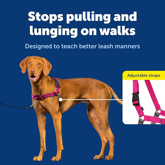 PetSafe Easy Walk Harness, No Pull Dog Harness, Medium, Raspberry | Patented Martingale Loop Gives Gradual Shoulder Pressure to Stop Pulling, Front-Chest Leash Clip Prevents Gagging
