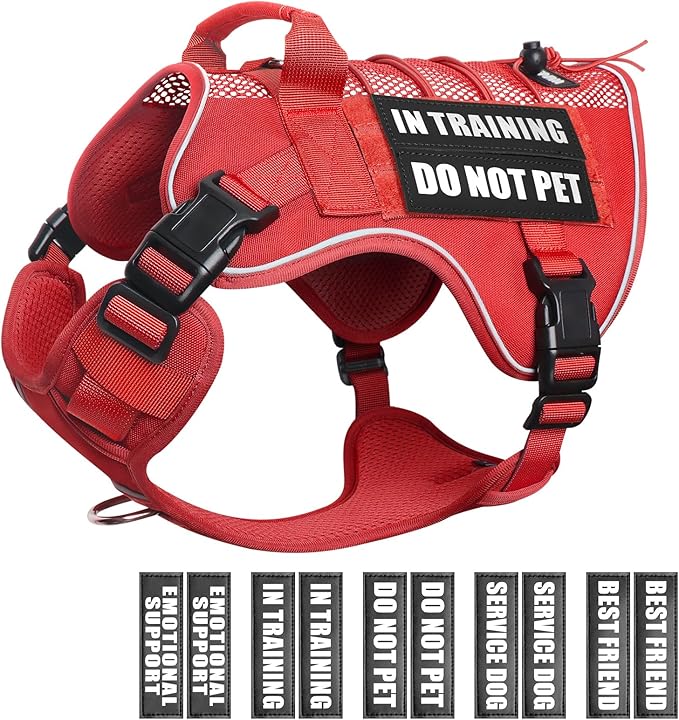 Service Dog in Training Mesh Harness with 10 Removale Pet Patches | Breathable material, adjustable straps, reflective trim, lightweight but durable, great for training, walks, and outings