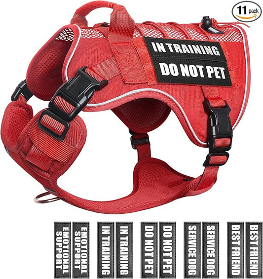 Service Dog in Training Mesh Harness with 10 Removale Pet Patches | Breathable material, adjustable straps, reflective trim, lightweight but durable, great for training, walks, and outings