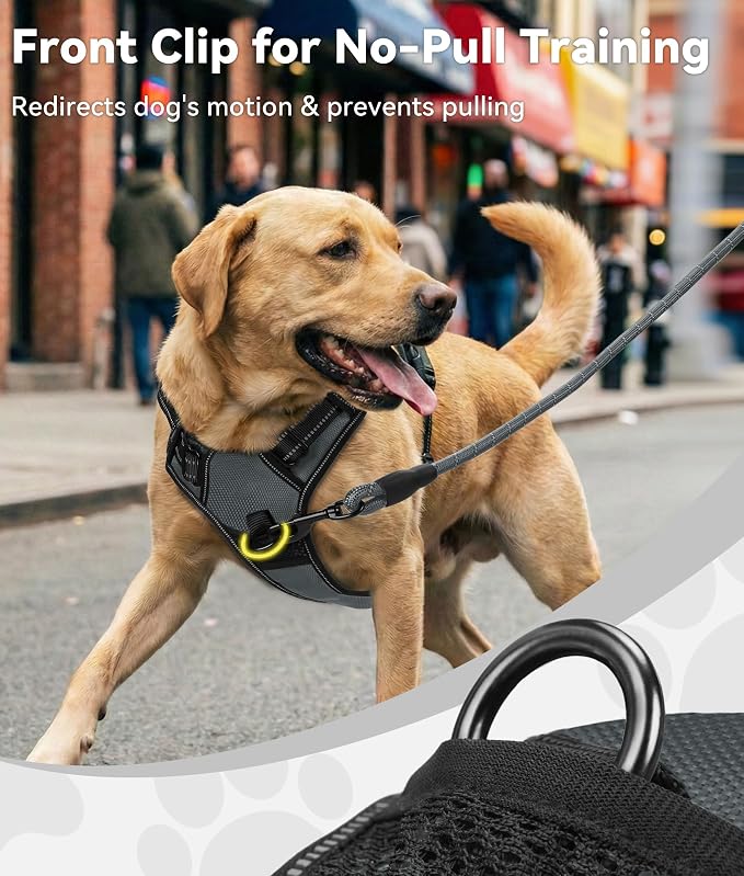 Joytale No Pull Dog Harness for Extra Large Dogs, Front Clip, Gray | Grab Handle for Instant Control, Padded & Adjustable Vest, Sturdy Metal D-Rings, for Safe Training & Daily Walking