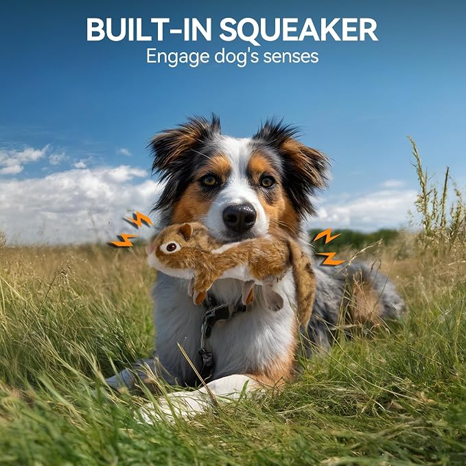 ALL FOR PAWS Chipmunk Squeaky Doy Toy, Squirrel Dog Toy for Medium Large Breed, Puppy Fetch Toy with Squeaker, Plush Chew Dog Toy, Chipmunk-L