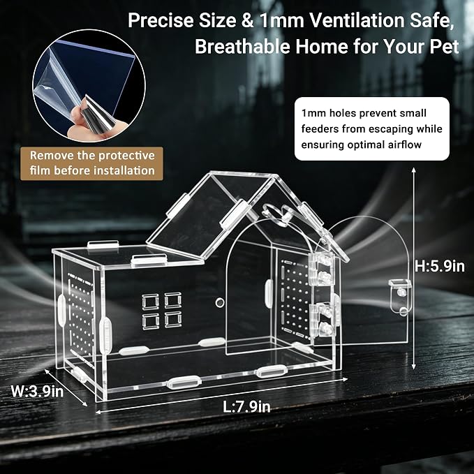 Acrylic Jumping Spider Enclosure Kit with Accessories | 22-in-1 complete decor set, clear 360° view, ideal for mantis, tarantula, and small reptiles
