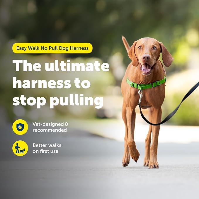 PetSafe Easy Walk Harness, No Pull Dog Harness, Apple Green, Medium | Patented Martingale Loop Gives Gradual Shoulder Pressure to Stop Pulling, Front-Chest Leash Clip Prevents Gagging