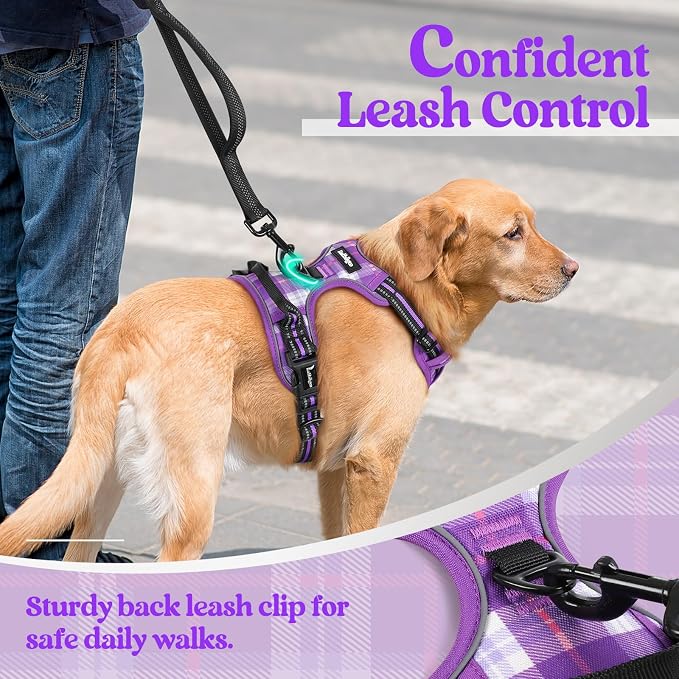 rabbitgoo Dog Harness, No Pull for Large Dogs with 2 Leash Clips, Pet Vest | No Choke with Handle, Adjustable Soft Padded, Reflective, Easy Control for Walking, Purple Plaid, X-Large