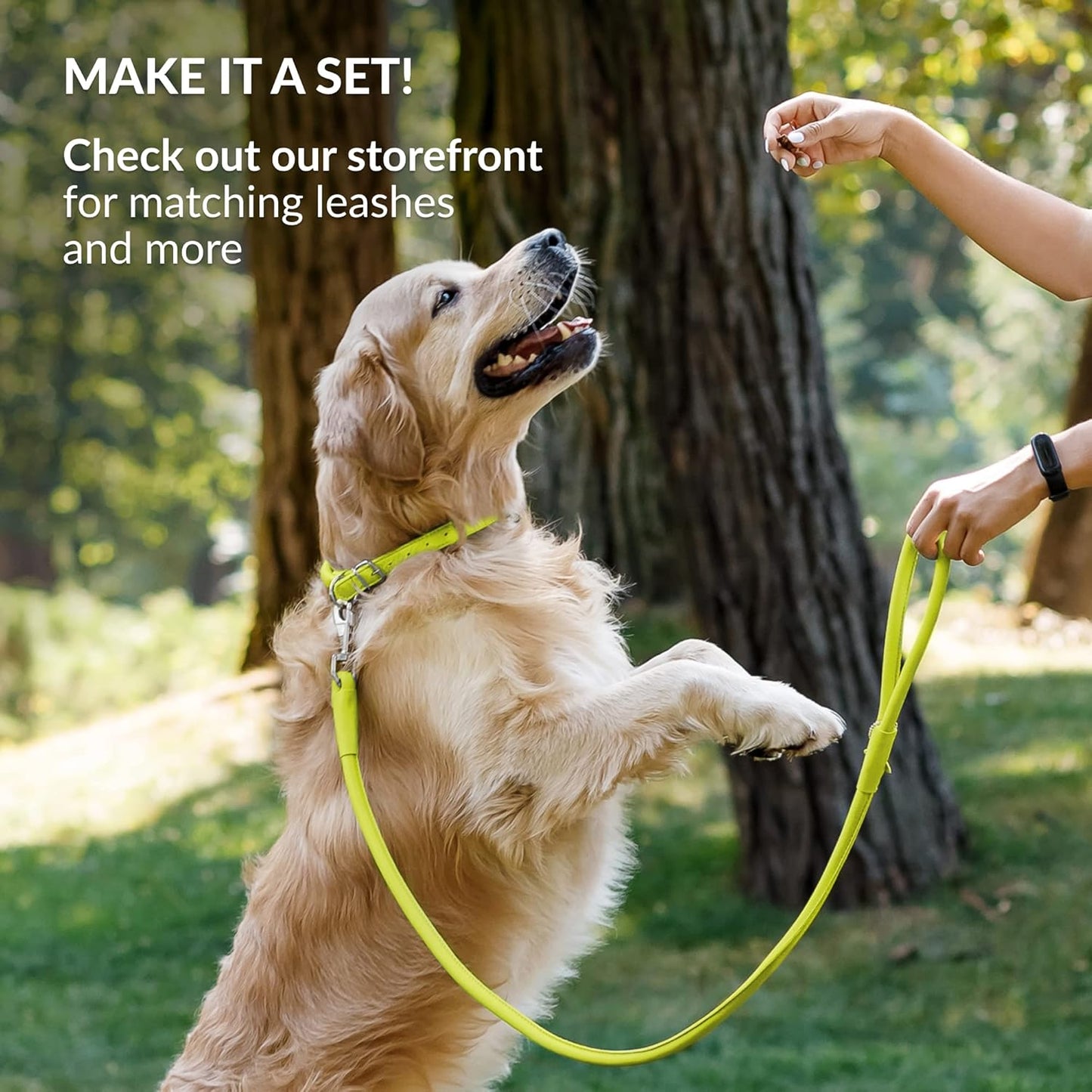 CollarDirect Rolled Leather Dog Collar, Soft Padded Round Puppy Collar, Handmade Genuine Leather Collar Dog Small Large Cat Collars 13 Colors (8-11 Inch, Lime Green Smooth)