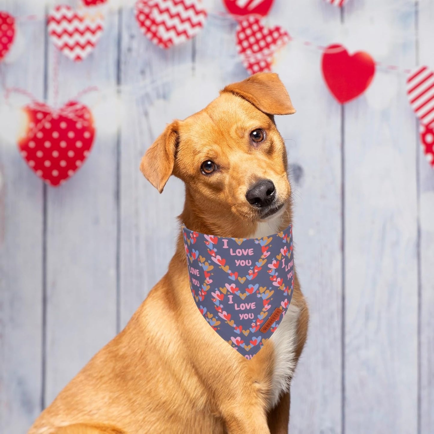 ADOGGYGO Valentine Dog Bandanas, Heart Love Floral Pet Scarf, Multi Size Offered, Pink Blue Pet Valentine Bandana for Medium Large Dogs (Large)
