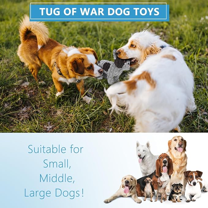 Letsmeet Squeaky Plush Dog Toy for Puppies, Small and Medium Dogs, Interactive Crinkle Stuffed Animal for Teething and Boredom, Soft Chew Toy to Keep Them Busy