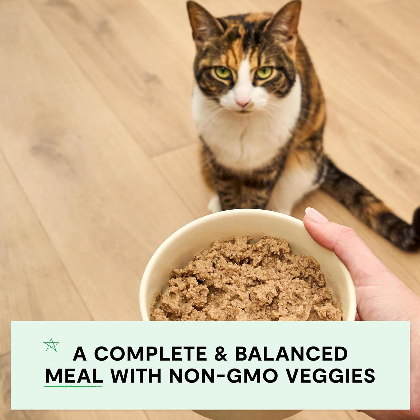 Open Farm Canned Cat Food Variety Pack, Paté for Complete & Balanced Nutrition, Grain-Free and Legume-Free Wet Cat Food, 2.8oz Cans (Case of 12)