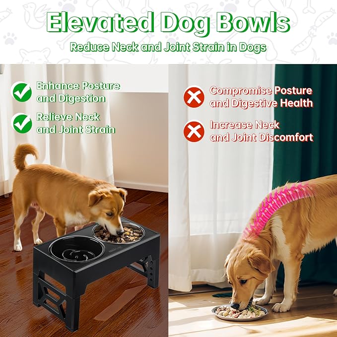 EliteField Elevated Dog Bowls, 2 Stainless Steel Bowls (2-Year Warranty) | 58 oz Bowls, 5 Adjustable Heights, Small to Large Dogs, Foldable, Dishwasher Safe, Anti-Slip Feet