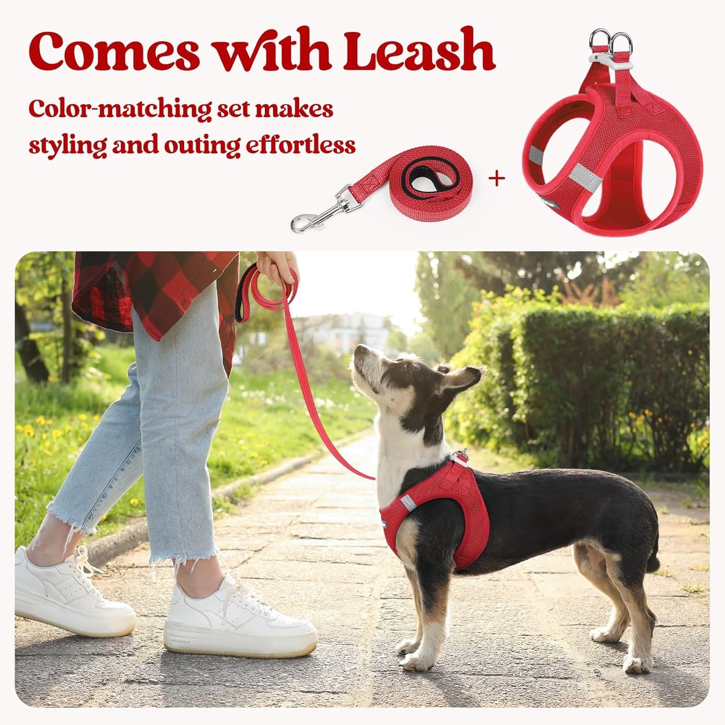 rabbitgoo Dog Harness Small Sized and Leash Set, Step in Soft Light Puppy Vest, Breathable Mesh Pet Harness, Reflective for Safe Easy Walking, Red XXS