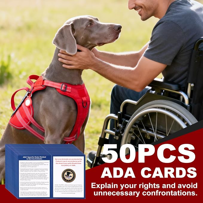 Service Dog Harness + ID Tag 50 ADA Information Cards - No Pull Dog Vest 10 PCS Removable Patches - Reflective Emotional Support Pet Vest for Extra-Large Dogs - Adjustable Breathable ESA Training Vest