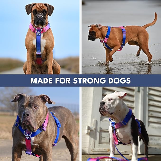 Spark Paws Comfort Control No Pull Dog Harness - Heavy Duty Front Clip | Safety Tested for Strong Breeds, w/ Metal Buckle & Top Handle – Padded Y-Straps Redirect Pulling. Solo or Matching Leash Set