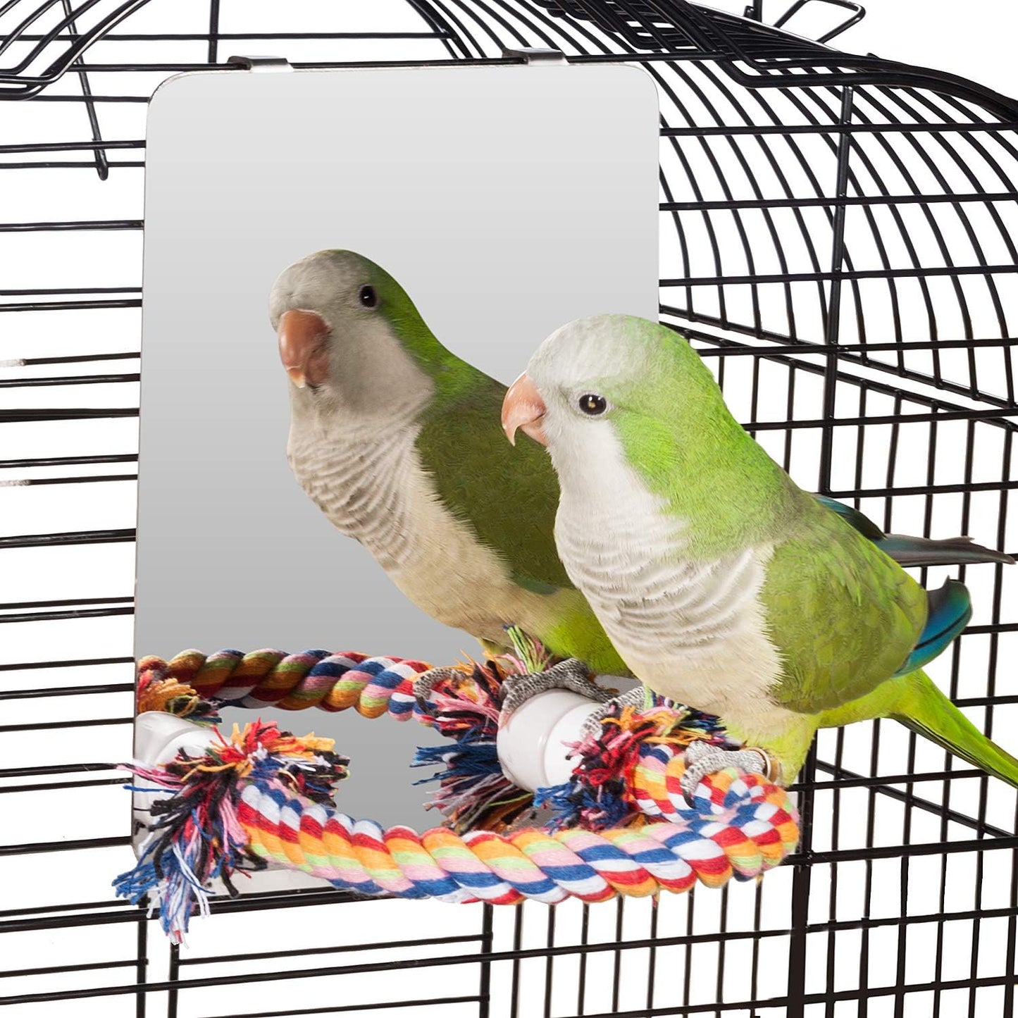 Colorday 7" Bird Mirror with Rope Perch, Bird Swing, Parrot Cage Toys for Parakeet African Grey Conure Cockatiel Lovebird Finch Canarie, Medium