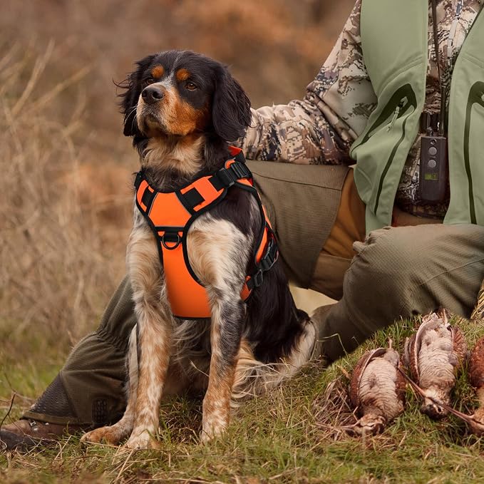 WINGOIN Orange Tactical Dog Harness for Large Dogs,No Pull Dog Harnesses | Heavy Duty with Handle,Adjustable Reflective,Military K9 Style,xl Size Pet Vest,for Husky Doberman,for Walking Hiking