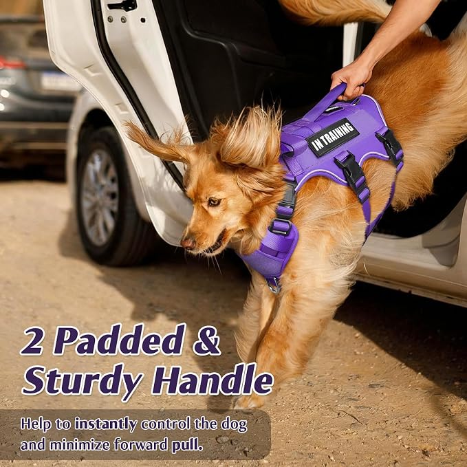 Escape Proof Dog Harness with Double Handle+4 Removable Patches | Service Working Molle Harness with Double Handle for Medium Dogs, Tactical Pet Reflective Vest for Walking Hiking Hunting