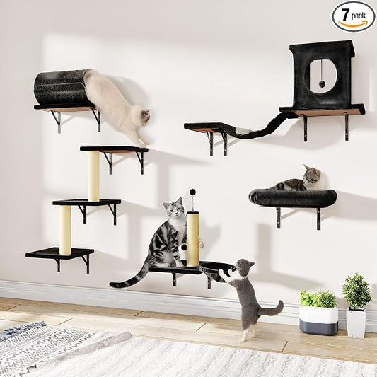 7-in-1 Cat Wall Shelves, Cat Climbing Wall Systems, Space-Saving Wall Mounted Cat Shelves for Play & Rest Includes Tunnel, House, Bridge, Steps, Scratcher, Hammock, Shelves, Black