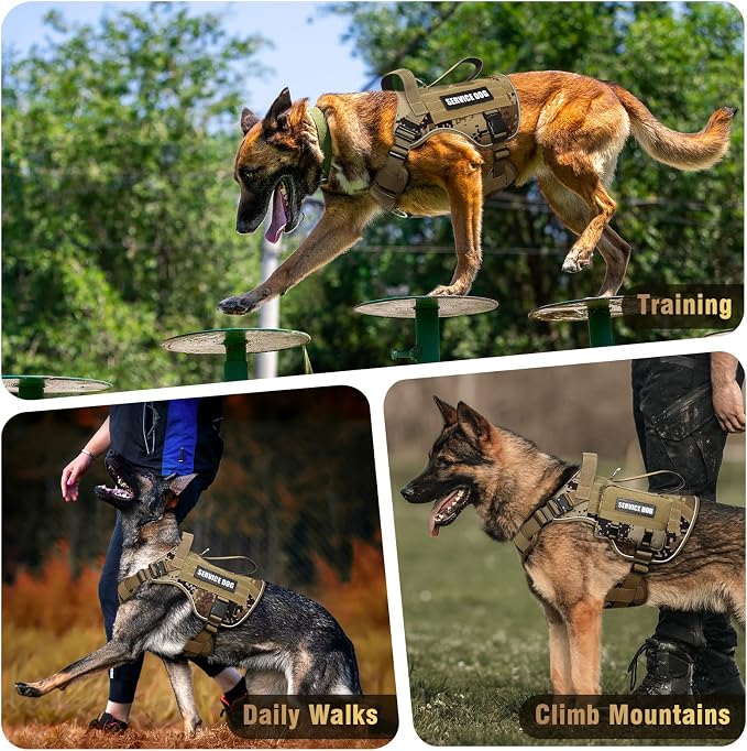 2X Metal Buckle Service Working MOLLE Dog Vest with 10 Pet Patches | Tactical Dog Harness for Large Dog, No-pull Military Working Vest for Training Hunting Walking，2x D Rings for Leash Clip