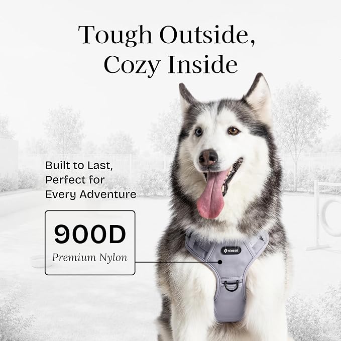 Fei & Eve Classic Dog Harness, MagEase Magnetic Buckle | 3-Point No-Pull Control, Dual Handle Support, 900D Nylon, Tactical Patch Panel, Heavy Duty, Medium, Gray