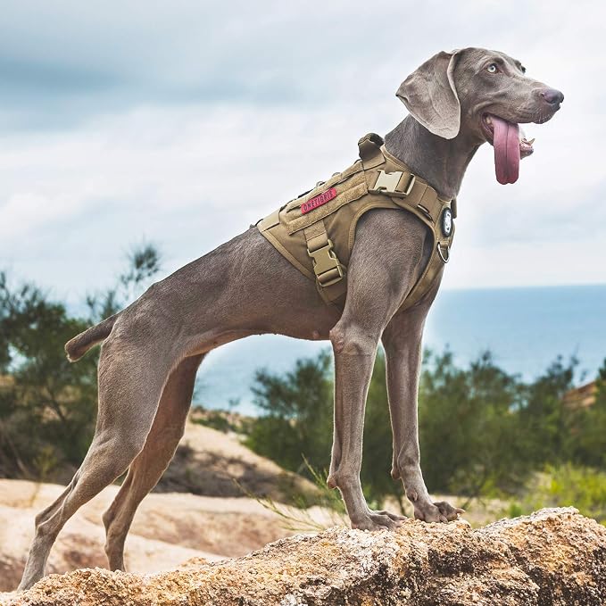 OneTigris Tactical Dog Harness with Handle No-Pull Adjustable for Small Dog | Military 1000D Pullable Nylon, Service Dog Vest with Hook & Loop Panels, Easy On & Off for Walking Hiking Training Brown S