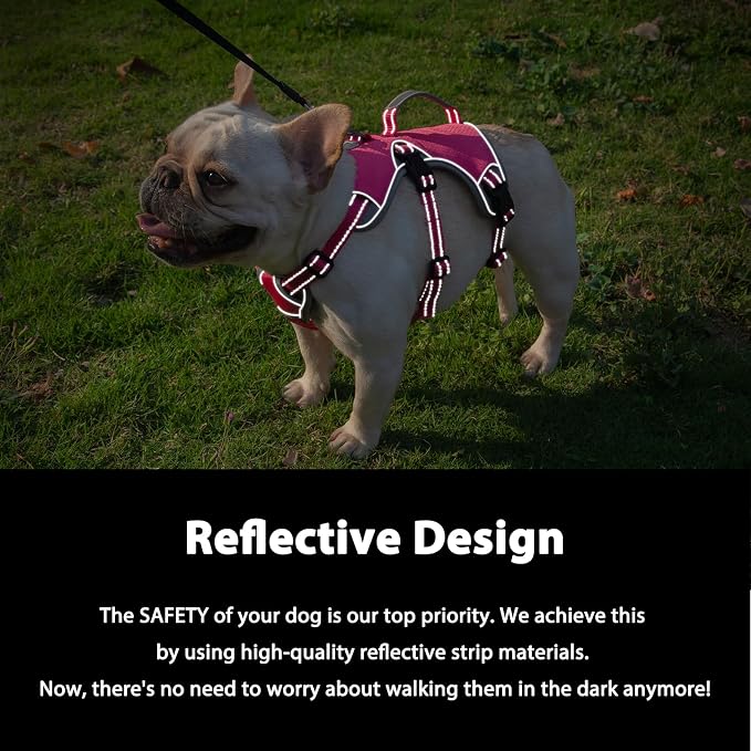 Escape Proof Dog Harness, Dachshund Harness, Reflective Dog Harness with Handle, Durable,Adjustable Vest for Small Medium Large Dogs Walking, Training, and Running Gear (Rose red,S)