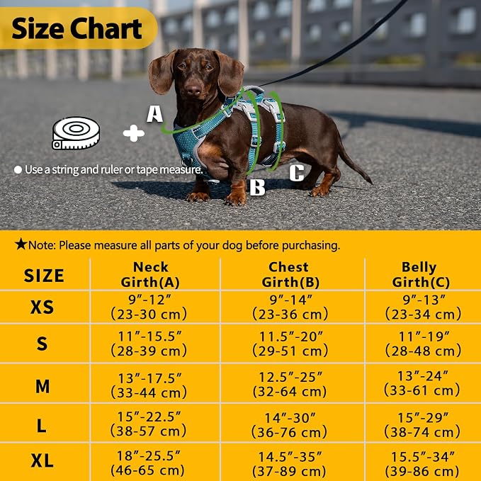 No Escape Dog Harness, Escape Proof Harness, Fully Reflective Harness with Padded Handle, Breathable, Durable, Adjustable Vest for Medium Dogs Walking, Training, and Running Gear (Teal,M)