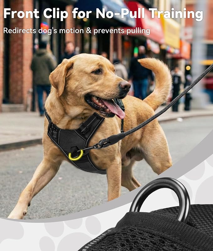 Joytale No Pull Dog Harness Medium Sized Dog, Front Clip, Black | Grab Handle for Instant Control, Padded & Adjustable Vest, Sturdy Metal D-Rings, for Safe Training & Daily Walking