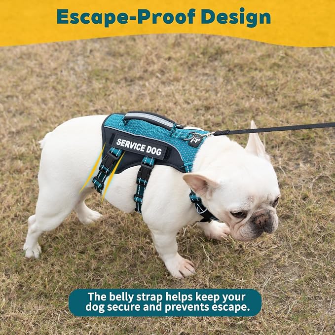 Service Dog Vest Harness, Escape Proof Harness with 6 Patches, No-Pull, Reflective Harness with Handle, Adjustable for Small to Large Dogs, for Training and Hiking (Teal, L)