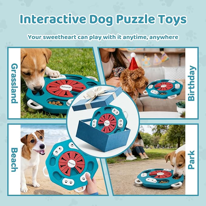 MateeyLife Dog Puzzle Toy for Smart Dogs, Mental Stimulation Dog Enrichment Toys, Treat Dispensing Dog Toys to Keep Them Busy for Small and Medium Dogs, IQ Training Puzzle Feeder, Level-1 (Blue)