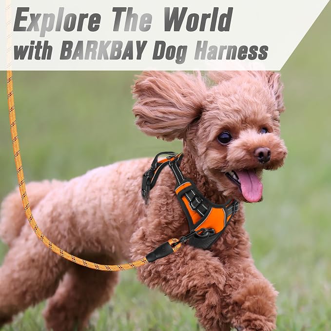 BARKBAY Dog Harness No Pull for Small Sized Dog Front Back Clips,Dog Vest | Soft Padded No Choke With Handle,Easy On&Off,Adjustable Reflective For Walking Training Running(Orange,XS)