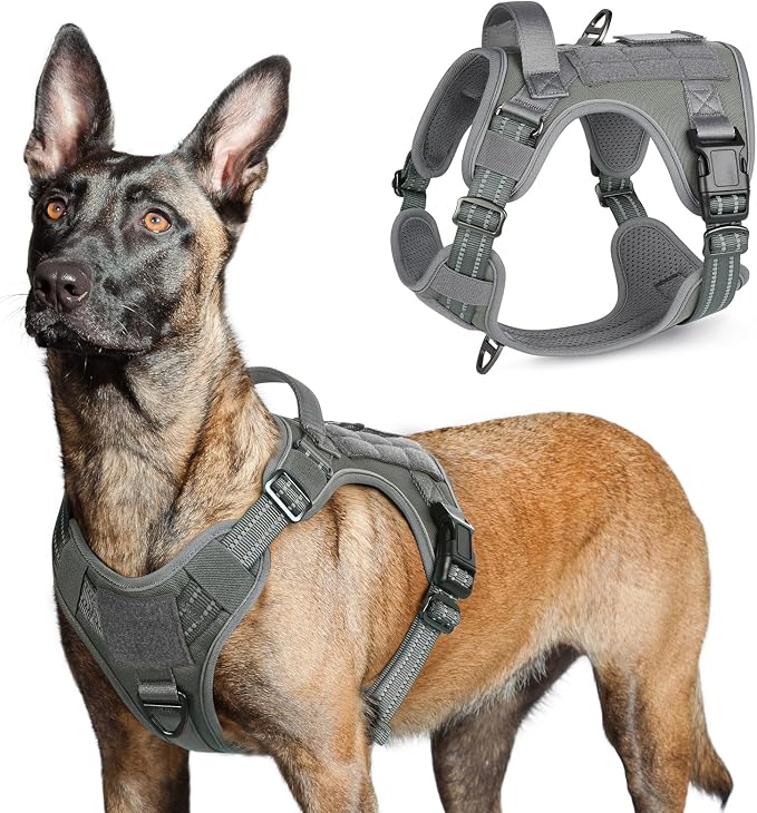 rabbitgoo Tactical Dog Harness for Large, No Pull Military Service Vest | Molle & Handle, Heavy Duty, Adjustable, Reflective Straps, Easy Control for Training Walking, Grey, Large