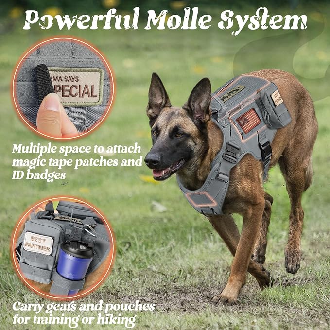 rabbitgoo Tactical Dog Harness X-Large, Heavy Duty Military No Pull Vest | Sturdy Metal Buckles, 5 Adjustments, Molle System, Powerful Pullers for Training, Hunting, Outdoor, Grey, X-Large