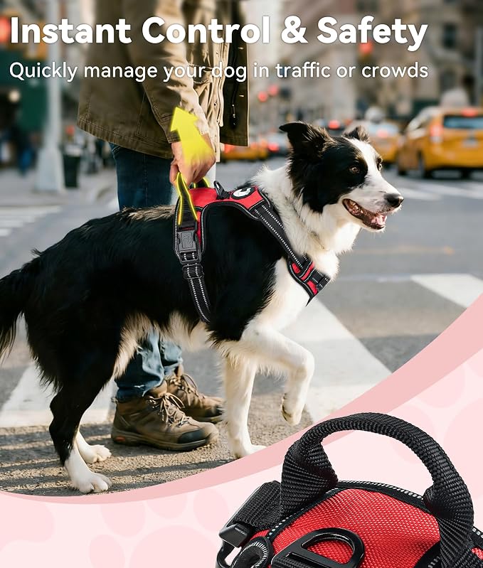 Joytale No Pull Dog Harness Medium Sized Dog, Front Clip, Red | Grab Handle for Instant Control, Padded & Adjustable Vest, Sturdy Metal D-Rings, for Safe Training & Daily Walking