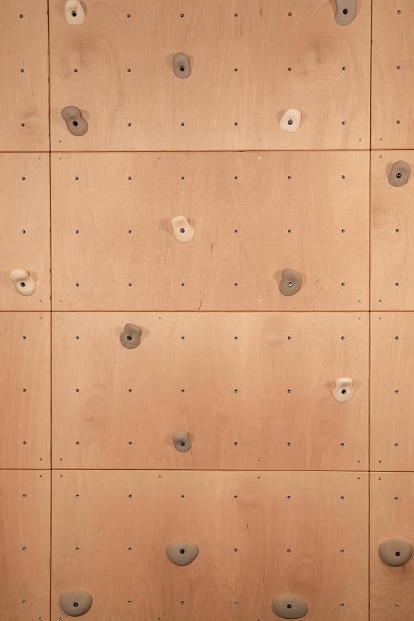 DIY Climbing Wall Panel – 47" x 23.5" Birch Plywood, Pre-Drilled T-Nuts, Textured & Paintable Surface – Indoor Home Gym & Kids Playroom Rock Wall Panel (Climbing Holds Not Included) (Natural)