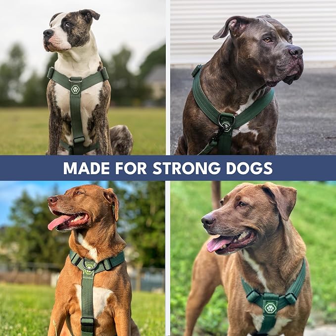 Spark Paws Comfort Control No Pull Dog Harness - Heavy Duty Front Clip | Safety Tested for Strong Breeds, w/ Metal Buckle & Top Handle – Padded Y-Straps Redirect Pulling. Solo or Matching Leash Set