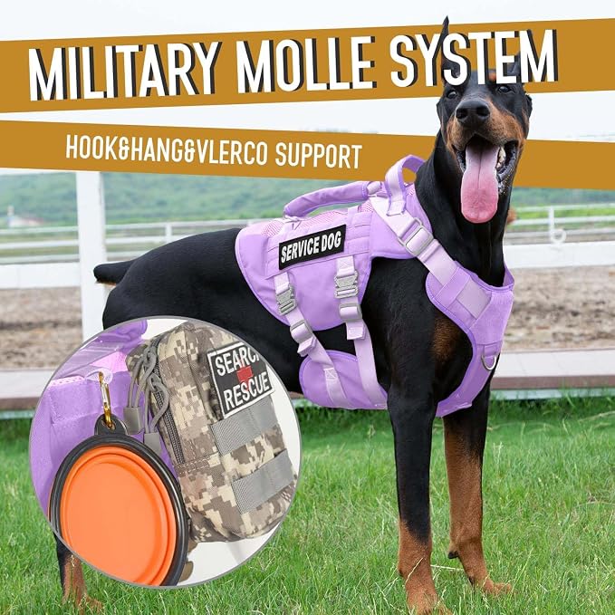 Service Dog Vest for Large Dogs, Purple Tactical Harness with Military MOLLE, Breathable Mesh & 39g Metal Buckle - Size M for Training & Hiking