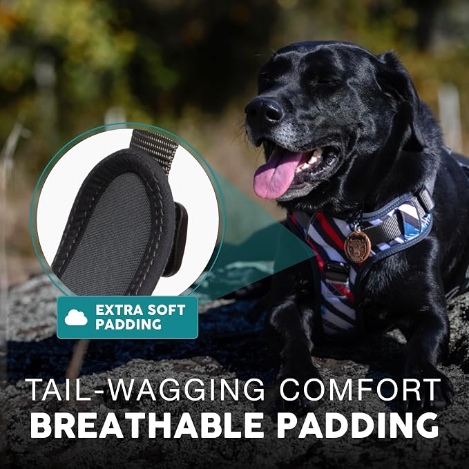Embark No Pull Dog Harness, Reflective Adjustable Training Vest, No Choke | Adjustable straps fit all dog breeds with sturdy hooks; 360° reflective trim, soft padded Harness Design for All Dogs