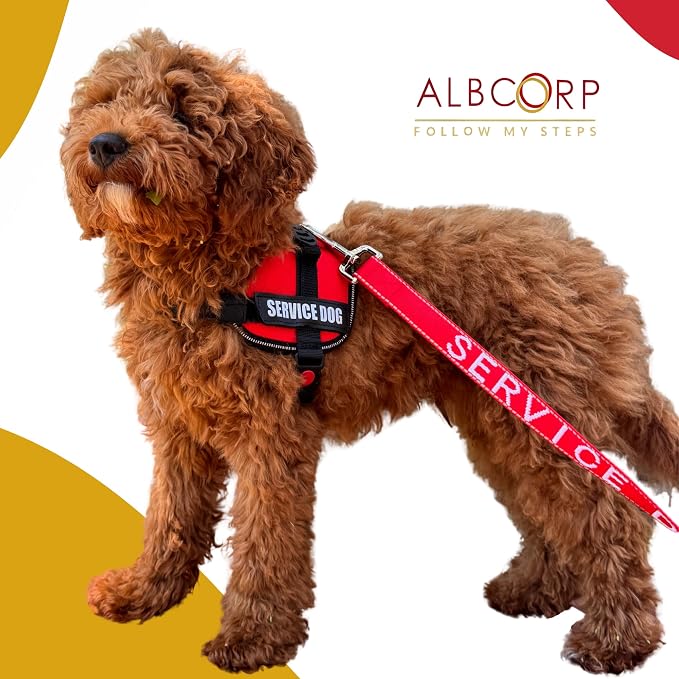 Service Dog Vest Harness – Reflective Service Animal Vest, No-Pull Harness with Handle & Mesh Padding – Sizes XXS-XL for Puppies – 2 Removable Service Patches Included (XXS, Black)