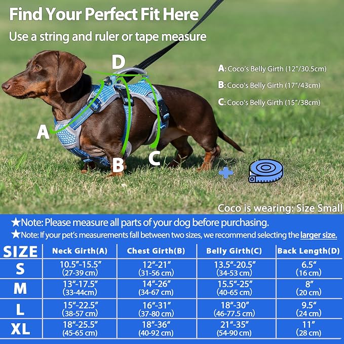 Escape Proof Dog Harness, Dachshund Harness, Reflective Dog Harness with Handle, Durable,Adjustable Vest for Small Medium Large Dogs Walking, Training, and Running Gear (Sea Blue,XL)