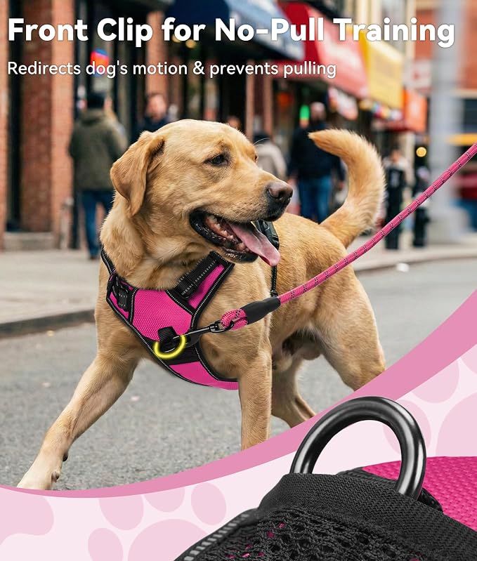 Joytale No Pull Dog Harness Medium Sized Dog, Front Clip, Hot Pink | Grab Handle for Instant Control, Padded & Adjustable Vest, Sturdy Metal D-Rings, for Safe Training & Daily Walking