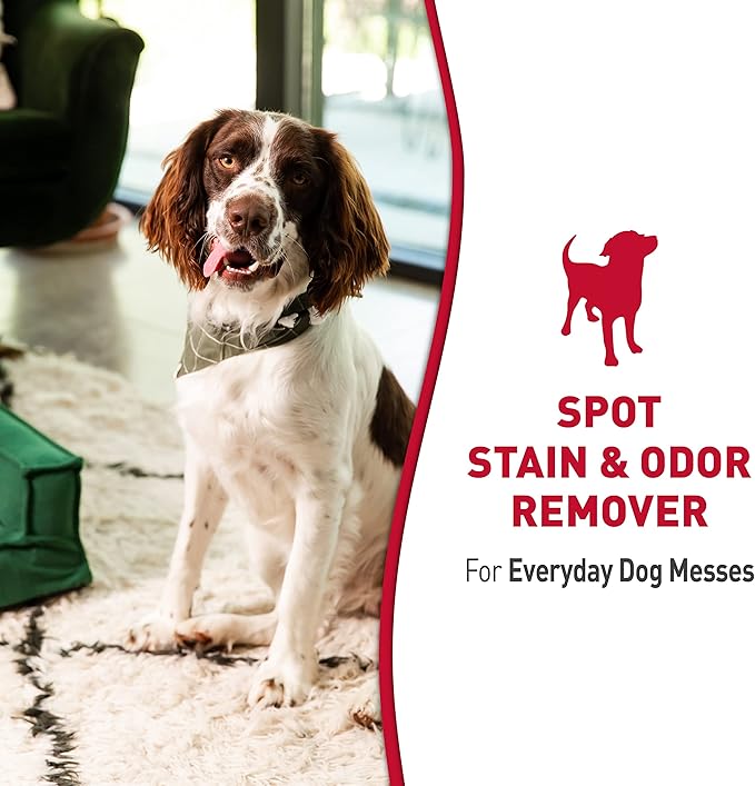 Nature's Miracle 1 Gal Severe Dog Stain Eliminator and 1.33 Gal Dog Stain Odor Remover Bundle