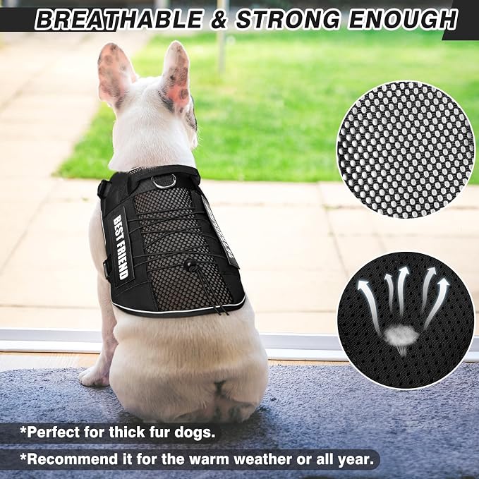 Service Dog in Training Mesh Harness with 10 Removale Pet Patches | Breathable material, adjustable straps, reflective trim, lightweight but durable, great for training, walks, and outings