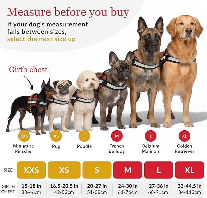 Service Dog Vest Harness – Reflective Service Animal Vest, No-Pull Harness with Handle & Mesh Padding – Sizes XXS-XL for Puppies – 2 Removable Service Patches Included (Small, Pink)